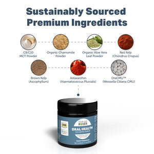 Dog Dental Powder - Oral Health 48g (NEW)