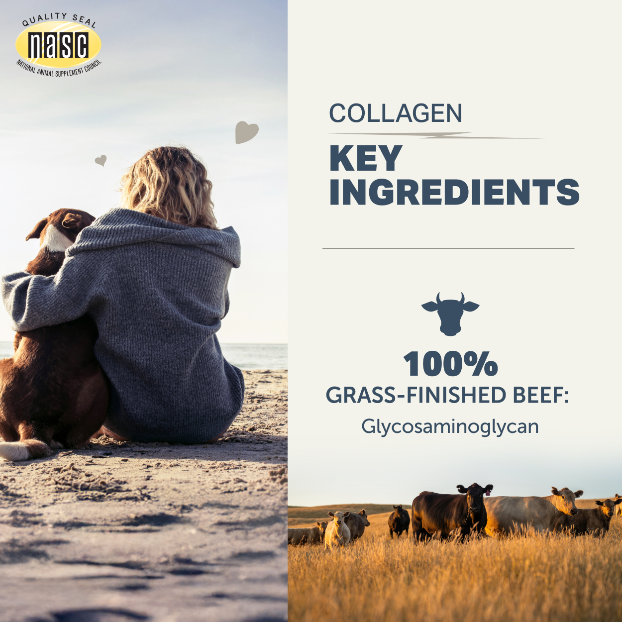Collagen - Joint and Tissue Health 3oz