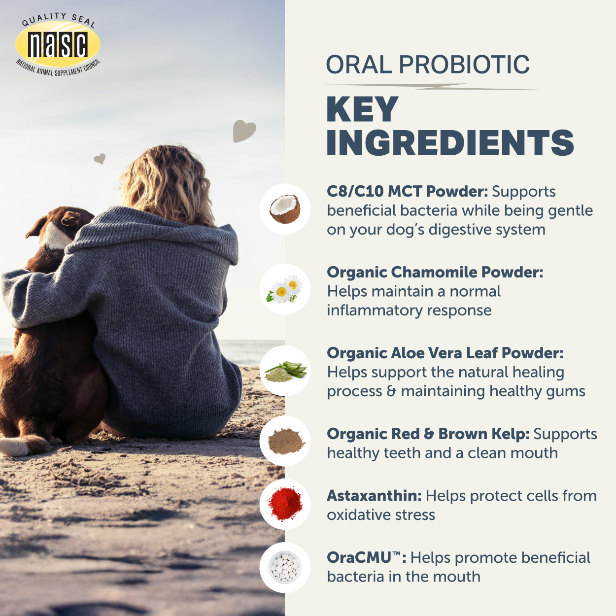 Dog Dental Powder - Oral Health 2.2oz