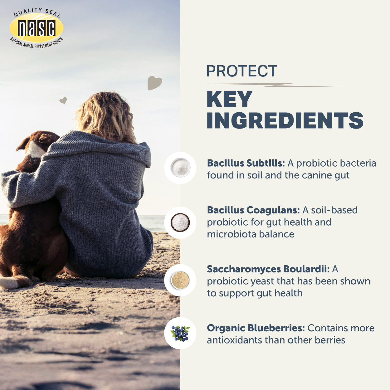 Protect - Soil Based Probiotics 3.6oz
