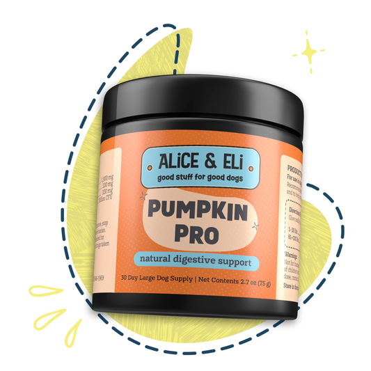 Pumpkin Pro - Fibre Supplement for Optimal Bowel Movements 75g