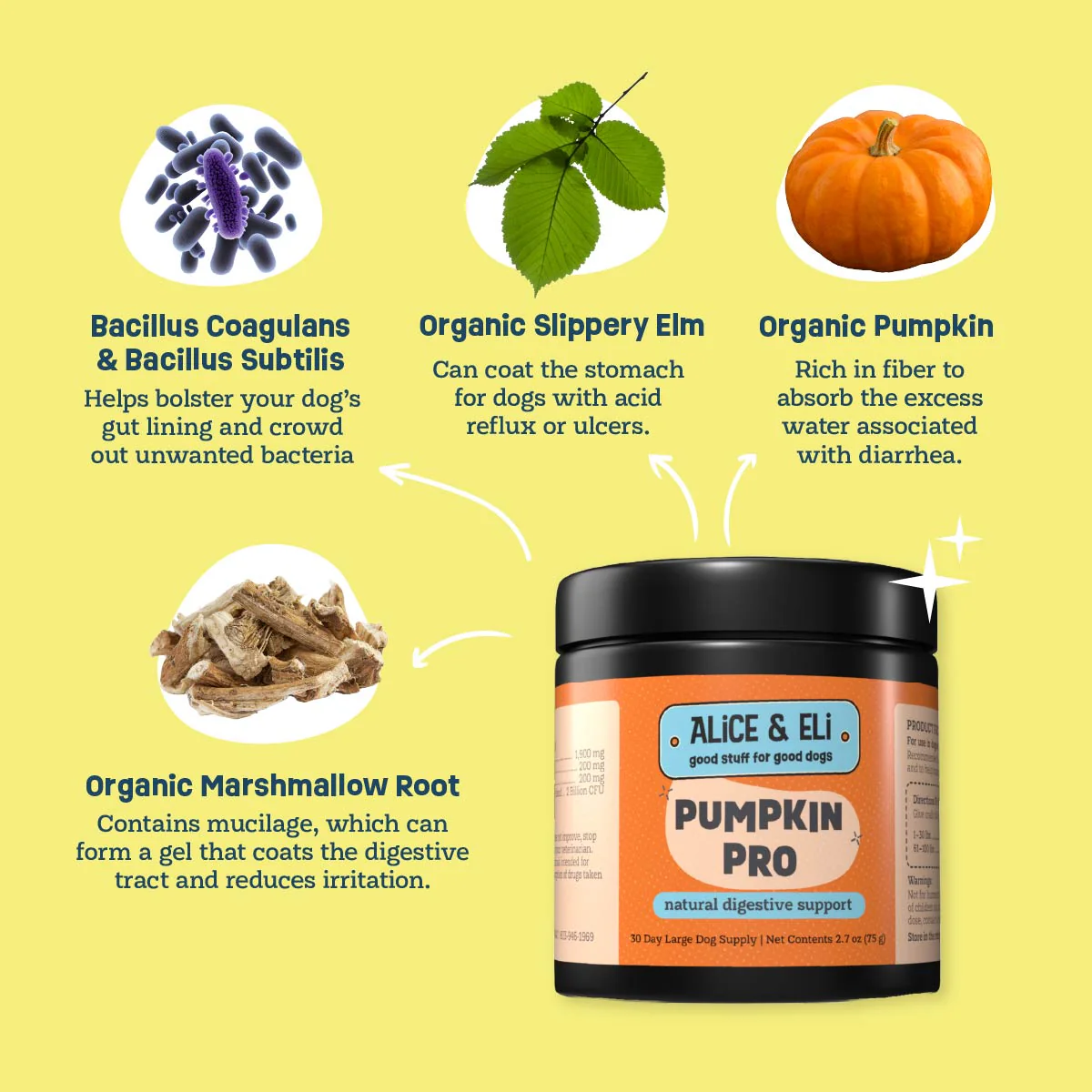 Pumpkin Pro - Fibre Supplement for Optimal Bowel Movements 75g