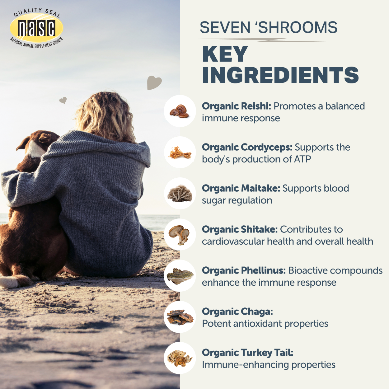Seven 'Shrooms - Organic Mushroom Mix 2.8oz